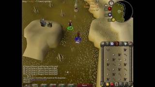 1100 OSRS Barbarian Assault Record Duo Heal D [upl. by Htezzil428]