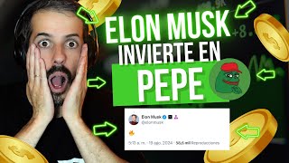 SI NO LLEVAS LA MEMECOIN PEPE ESTÁS PERDIDO EN EL BULLRUN  ELON MUSK [upl. by Damalas546]