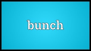 Bunch Meaning [upl. by Bernt]