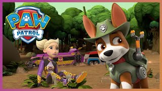 Tracker and Pups stop Cheetah from destroying the Jungle  PAW Patrol Cartoons for Kids Compilation [upl. by Hendrickson]