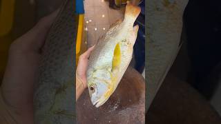 プロの魚の切り方 フィレ 魚 切り身魚 Филерыбы Филе рыбы 생선필렛 생선 필렛 Fish Filleting fishcutting [upl. by Oicnanev]