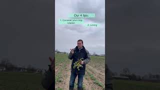 Short video Our 4 tips for avoiding clubroot [upl. by Innig]