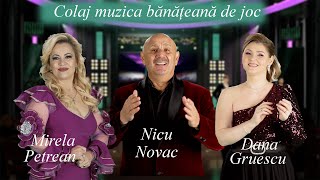 Colaj muzica din Banat 🎵 Mirela Petrean ✖️ Nicu Novac ✖️ Dana Gruescu 🎤 [upl. by Eilrac527]