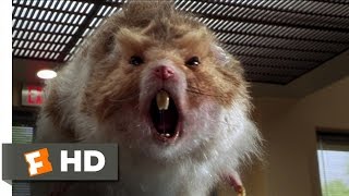 Nutty Professor 2 The Klumps 89 Movie CLIP  Giant Hamster Attack 2000 HD [upl. by Allmon]