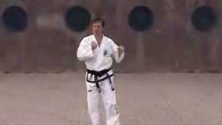 International Taekwondo Federation ITF Pattern 9 [upl. by Martinson]