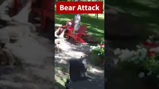 Scary Moment Bear Walked Up Behind Boy [upl. by Fabian]