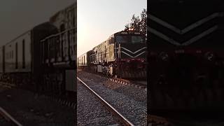 6DN GREEN LINE ARRIVAL AT CHAKLAL train expresstrain [upl. by Nosnehpets]