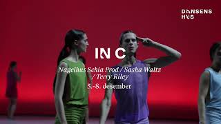 Nagelhus Schia Productions  Iin C Sasha Waltz  Terry Riley [upl. by Hakym]