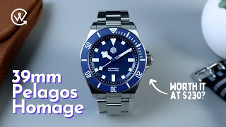 San Martin SN0121  An Affordable Pelagos Homage [upl. by Kee]