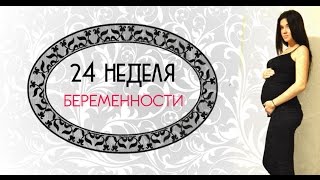 24 НЕДЕЛЯ беременности PONLINE [upl. by Sapienza]