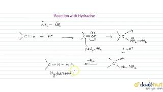 REACTION WITH HYDRAZINE [upl. by Maggio]