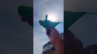 Funny Parrots 🦜😂kids parrot respect funny comedy pop viralvideo trending shorts 2024 [upl. by Laspisa]