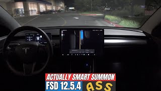 FSD 1254 Actually Smart Summon ASS Quick Test [upl. by Gairc]