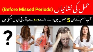 Pregnancy ki Alamat  5 Signs of Pregnancy in urdu  Hamal ki nishaniyan [upl. by Agon]