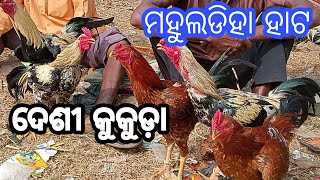 ଆସନ୍ତୁ ଦେଖିବା Mahuldiha hato ଦେଖିବା  desi kukuda Mayurbhanj Odisha [upl. by Fornof118]