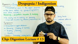 Dyspepsia or Indigestion  Causes Symptoms and Treatments [upl. by Giaimo801]