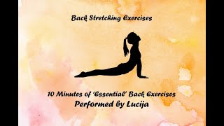 10 Minute Essential Back Stretching For You [upl. by Llennej]