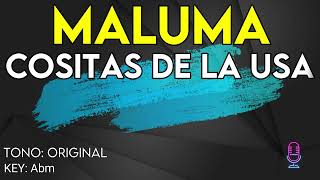 Maluma  Cositas De La USA  karaoke Instrumental [upl. by Craig]