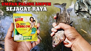 RESEP UMPAN IKAN PALING GALAK DAN NETER ABISSSSS‼️ [upl. by Violeta870]