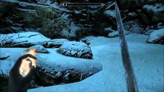 Skyrim  Part 32 Animal Extermination [upl. by Neeruan]