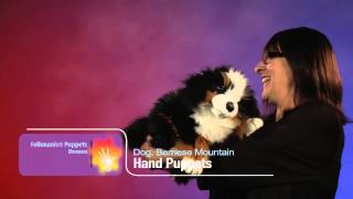 Folkmanis® Bernese Mountain Dog Puppet Demo  Retired [upl. by Fernas905]