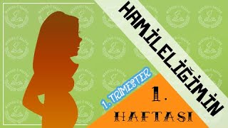 1 haftalık Hamilelik Hafta hafta gebelik [upl. by Tarkany779]