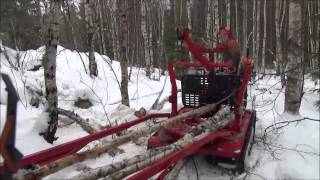 Järnhäst i skogen Jagamedhassese [upl. by Apicella]