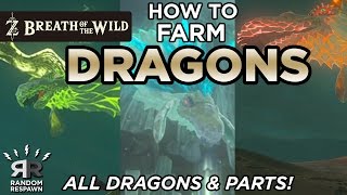 Zelda Breath of the Wild  EASY DRAGON FARMING  All Dragons amp Parts [upl. by Mikol]