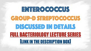 Group D streptococcus  Enterococcus  Virulence factorsClinical manifestationsLab diagnosis [upl. by Dnomsed]