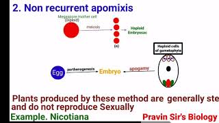 Apomixis  Recurrent apomixis  Non recurrent apomixis  Adventive embryony  Pravin Sirs Biology [upl. by Sukramal190]