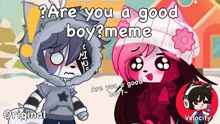 Are you a good boyoriginal memeSarv x ruvread desc plz [upl. by Ellirehs]