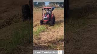 Hard Working Day 170 Dry Hay Spreader In The Field [upl. by Ikik]