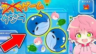 まさかのパクリ『クジラゲーム』が神ゲーすぎる！🍉🐟【 スイカゲーム 】 [upl. by Stultz]