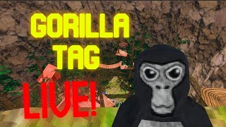 gorilla tag live stream minigames and tag [upl. by Isnan191]