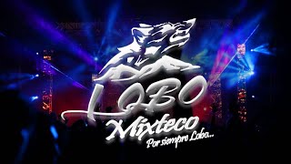 LOBO MIXTECO  LA CUMBIA DEL SUPERIOR LIVE 2020 [upl. by Ayortal]