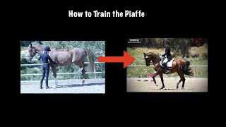 How to Train the Piaffe [upl. by Brag]