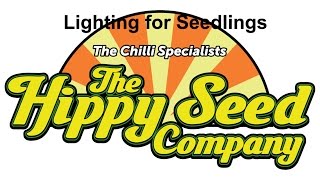 Lighting we use for Seedlings The Instruction Series [upl. by Raskin]