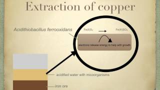 A level S1 Intro to Biotech and Bioleaching Ms Cooper [upl. by Eenafets]