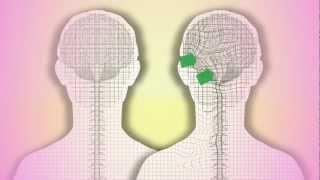 CranioSacral Therapy What is it How does it work by Tad Wanveer [upl. by Arnulfo]