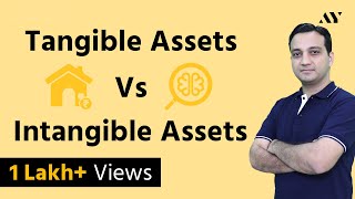 Tangible Assets amp Intangible Assets  Explained in Hindi [upl. by Eeniffar]