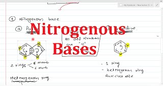 Nitrogenous Bases  Chemistry of Nucleic acid Part1  Purines amp Pyrimidines [upl. by Nalim]