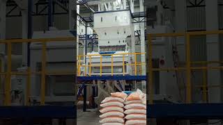 Huge 😱 machine milling food rice grain carbohydrates amazing wow [upl. by Goldstein]