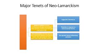 YouTube TitlequotNeoLamarckism Explained Evolution Epigenetics and Anthropological Impactquot [upl. by Thamora555]