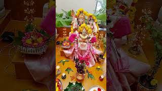 Happy gowrie habba gowri  ganesha festival [upl. by Erdnaet807]