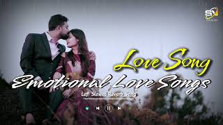 Emotional Love Songs  Lofi Slowed Reverb Song  Love Song  Sn Lofi Beats  music remix lofi [upl. by Arahat370]