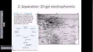 Proteomics [upl. by Notle]