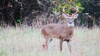 “KY Public Land Quota Hunt prep amp evening bow huntquot [upl. by Blynn]