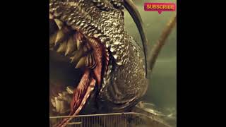 Giant shark to attack humans । BB MEDIA18ENT short [upl. by Hwang]