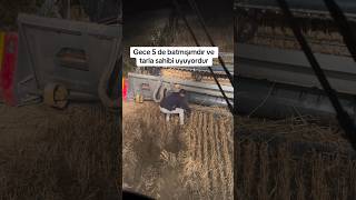 GECE BEŞTE ÇAMURA SAPLANAN BİÇERCİ🔥🔥masseyferguson farming tarım [upl. by Rosenbaum84]