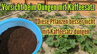 Diese Pflanzen sollten nicht mit Kaffeesatz gedüngt werden Darauf beim Düngen mit Kaffeesatz achten [upl. by Chet999]